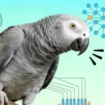 Why Parrots Can Talk: The Fascinating Science of Avian Vocalization